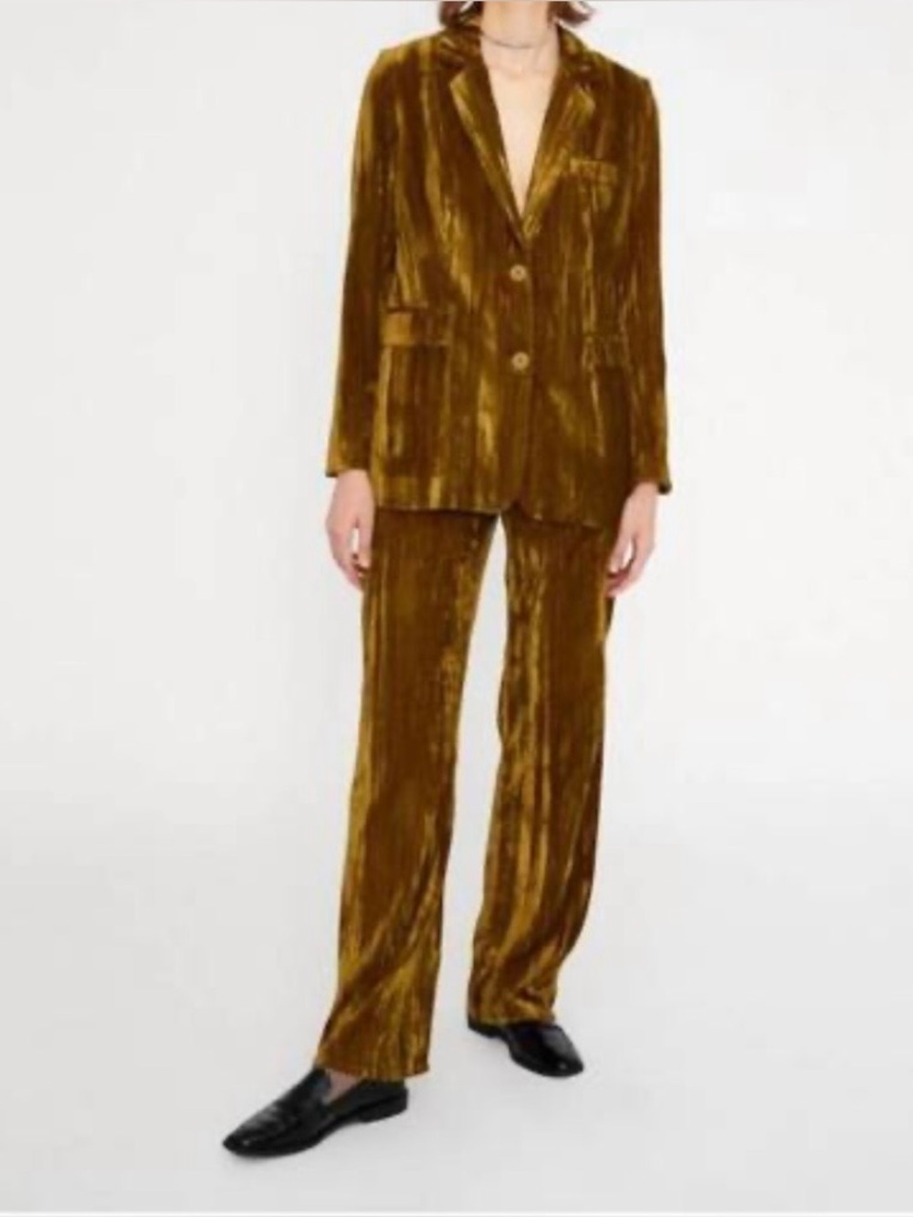 Wild Pony Crinkle Velvet Blazer And Pants Set(SKU669)